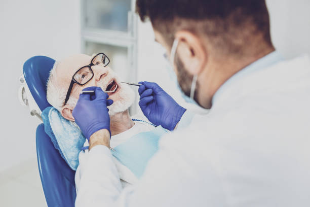 Best Emergency X-Rays and Diagnostics in Burlington, WA